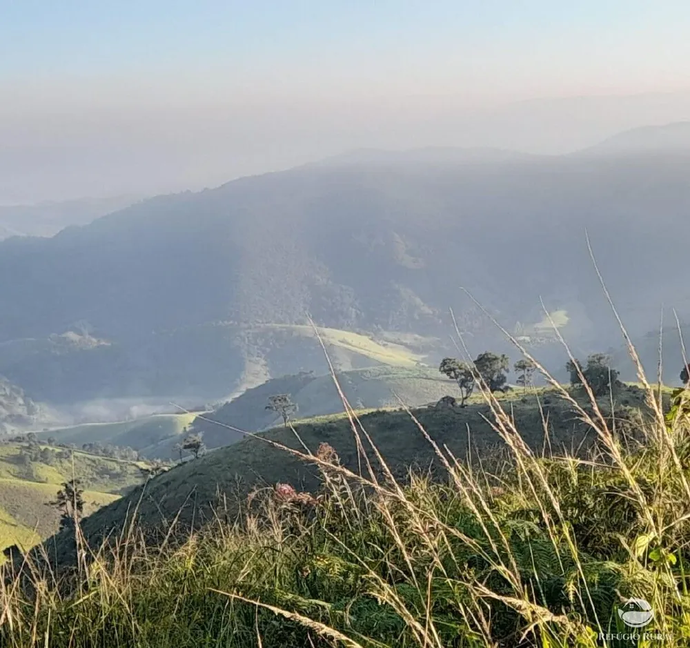 Sítio, 60 hectares - Foto 4