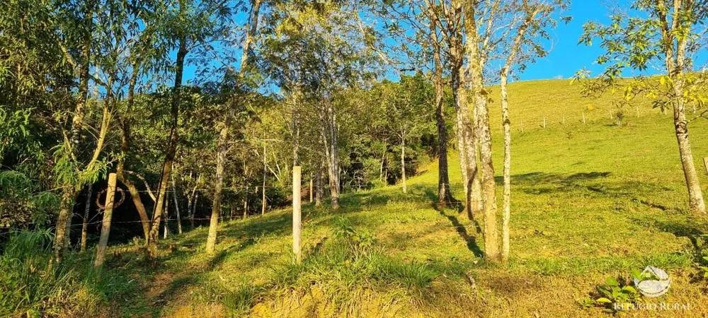 Terreno, 2 hectares - Foto 1