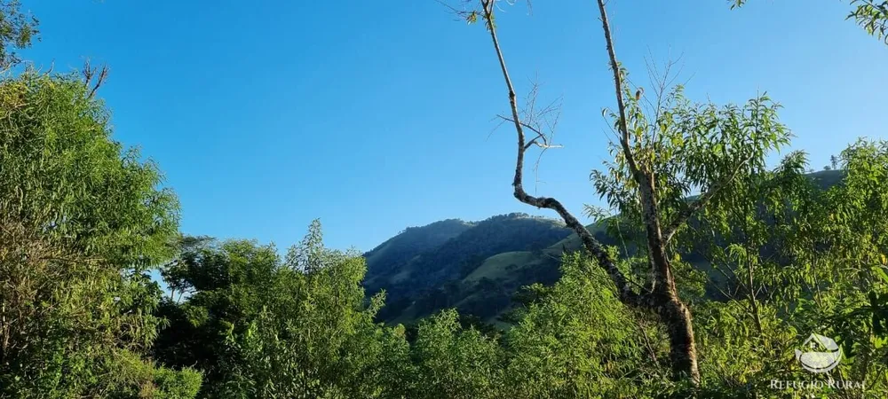 Terreno, 2 hectares - Foto 2