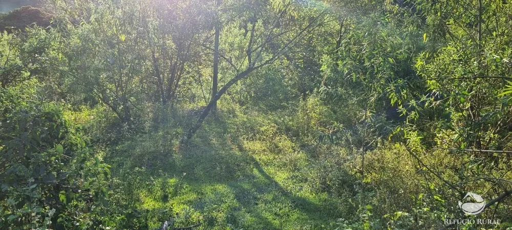 Terreno, 2 hectares - Foto 8