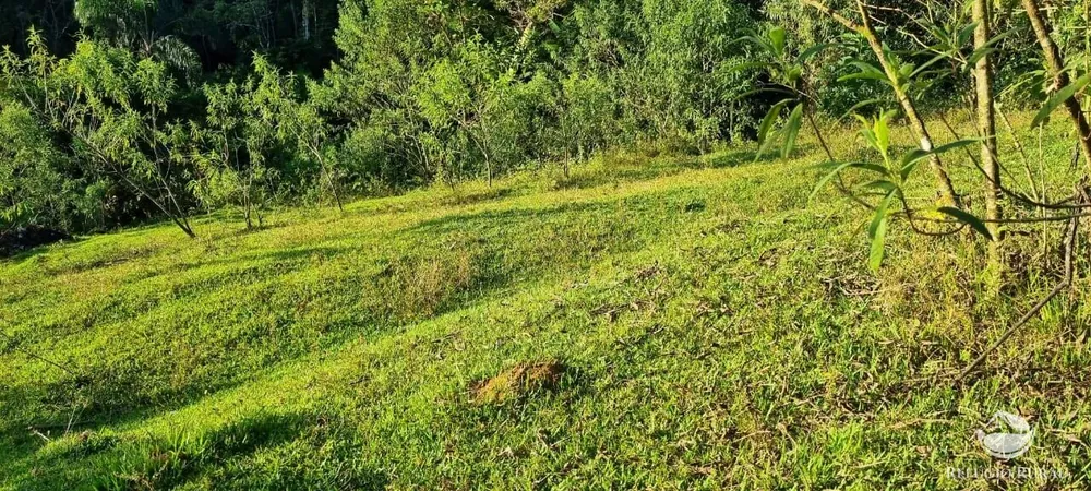 Terreno, 2 hectares - Foto 3