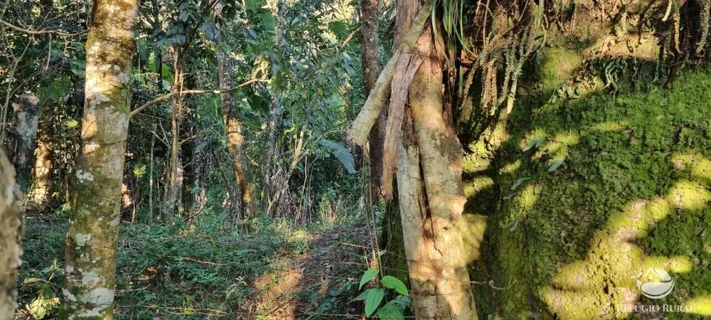 Terreno, 2 hectares - Foto 9
