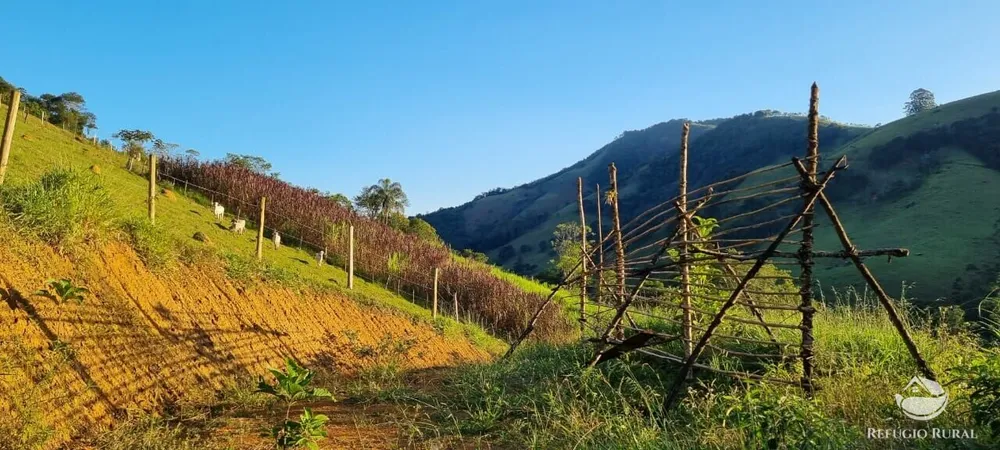 Terreno, 2 hectares - Foto 4