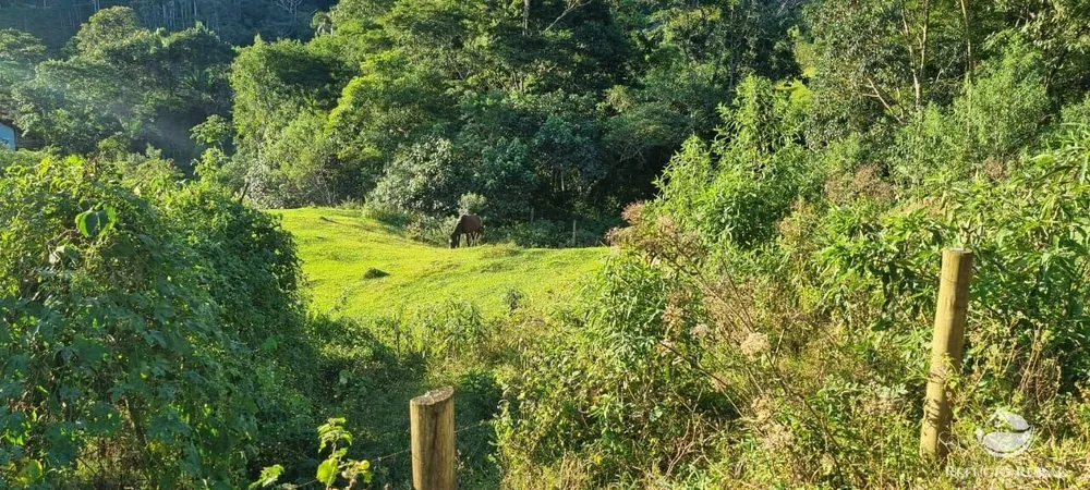 Terreno, 2 hectares - Foto 4