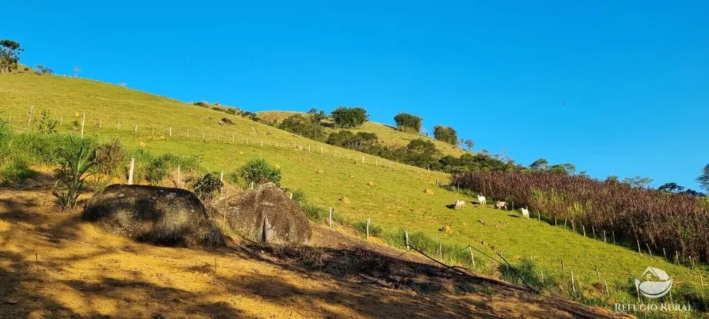 Terreno, 2 hectares - Foto 1