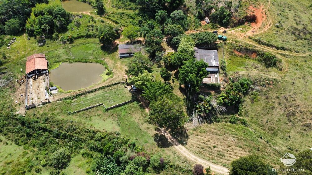 Sítio, 17 hectares - Foto 4