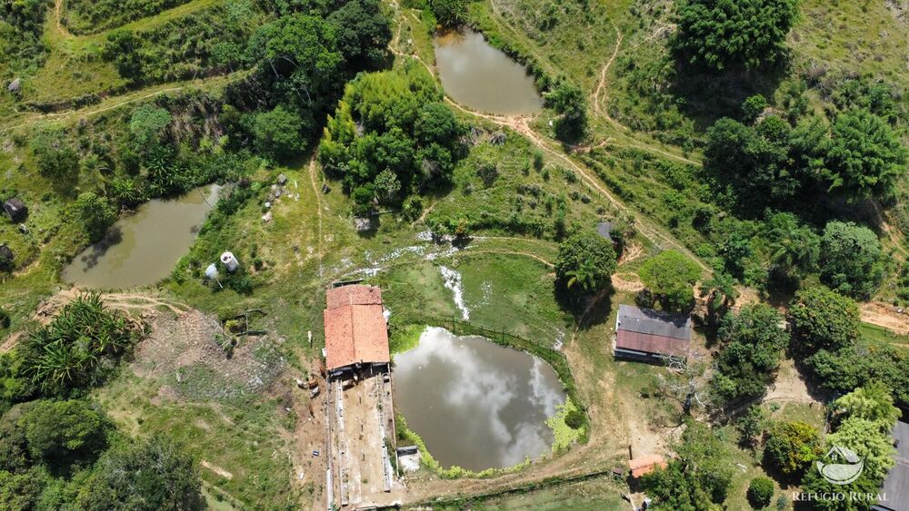 Sítio, 17 hectares - Foto 3