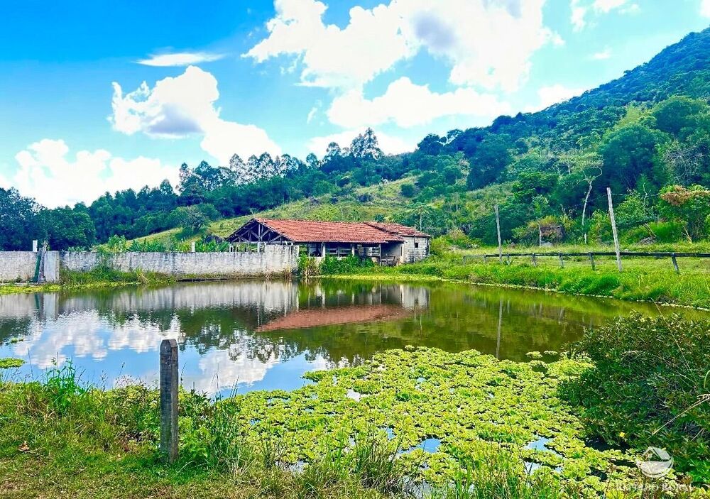 Sítio, 17 hectares - Foto 1