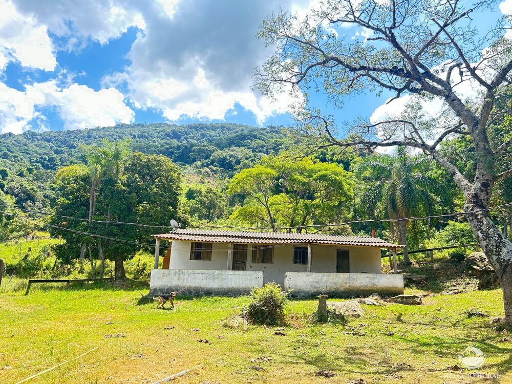 Sítio, 17 hectares - Foto 2