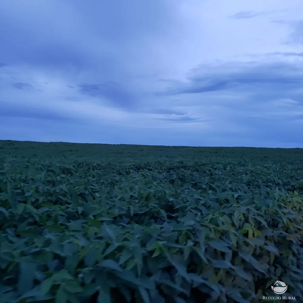 Fazenda, 3771 hectares - Foto 13