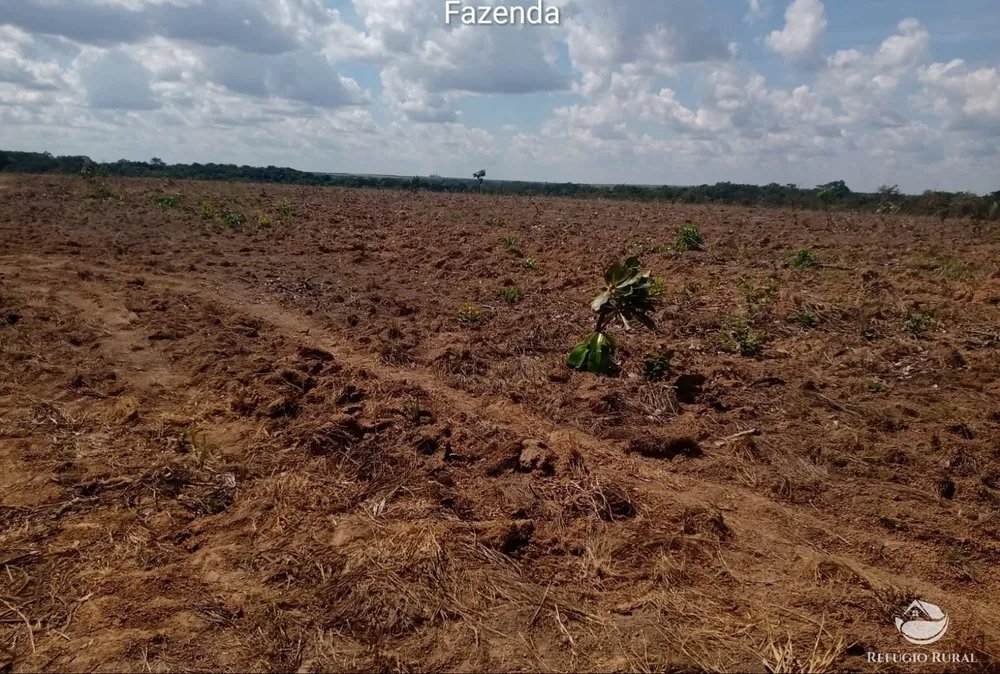 Fazenda, 3771 hectares - Foto 12