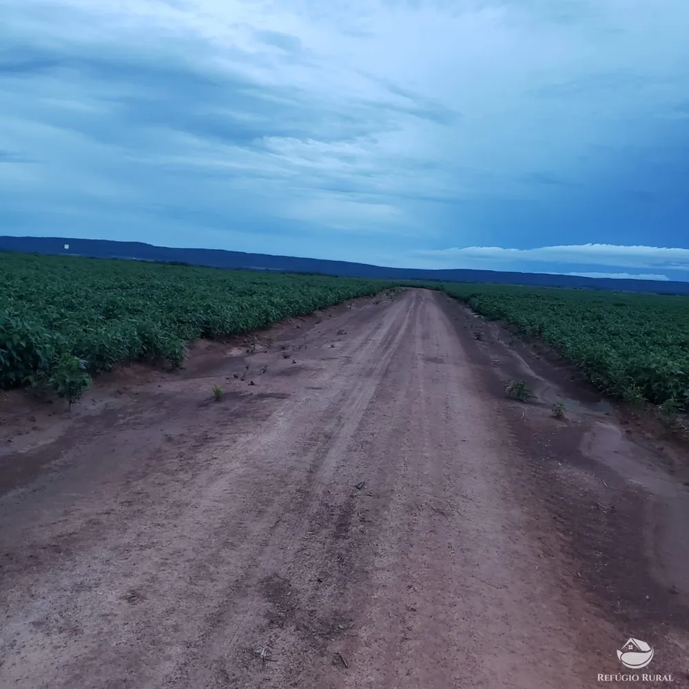Fazenda, 3771 hectares - Foto 9