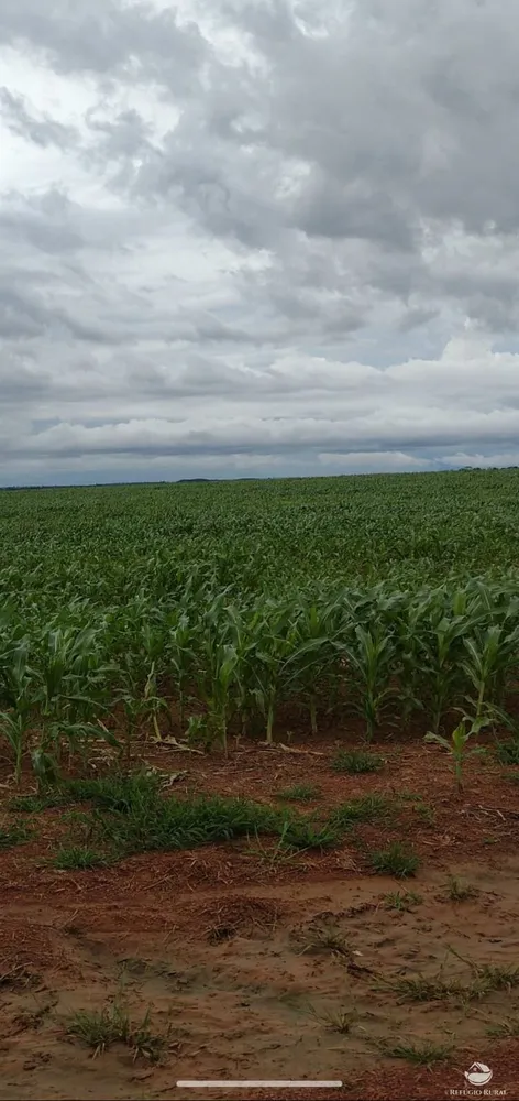Fazenda, 3771 hectares - Foto 14