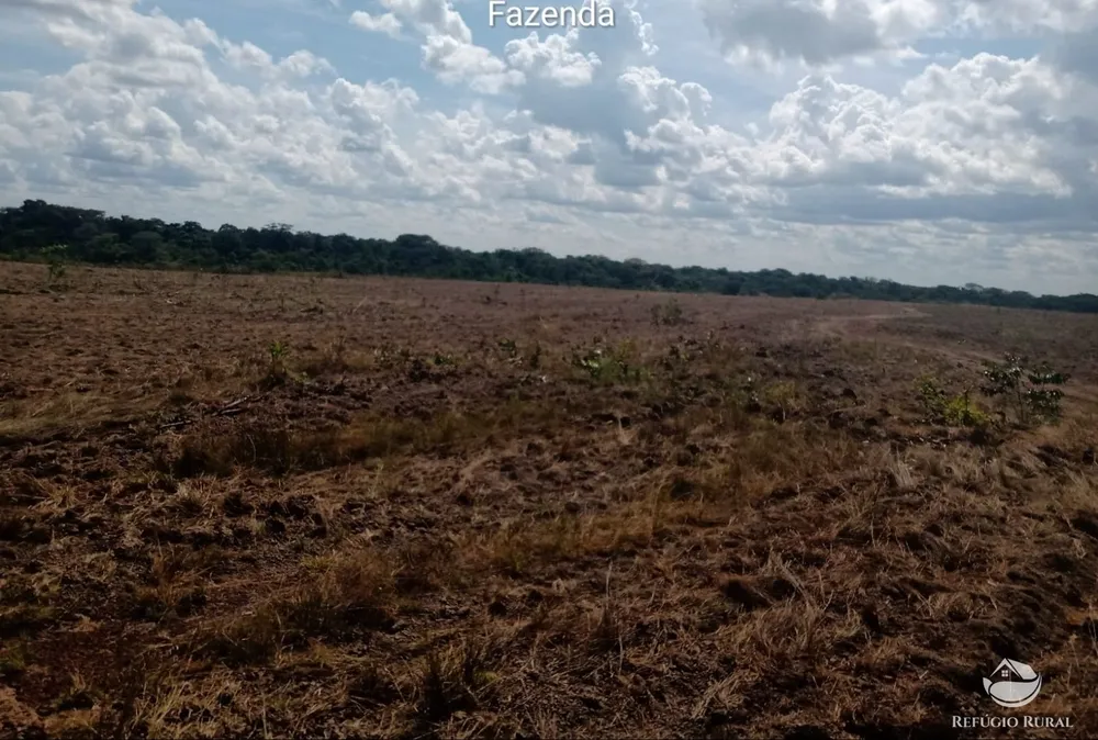 Fazenda, 3771 hectares - Foto 6