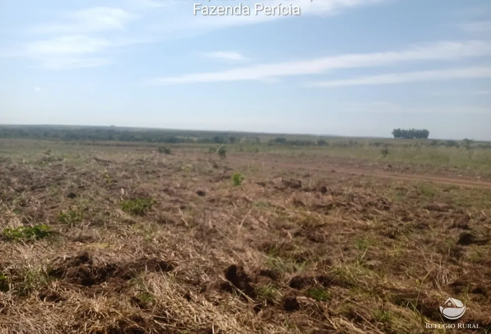 Fazenda, 3771 hectares - Foto 7
