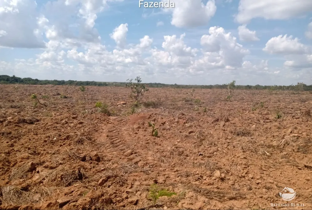 Fazenda, 3771 hectares - Foto 11