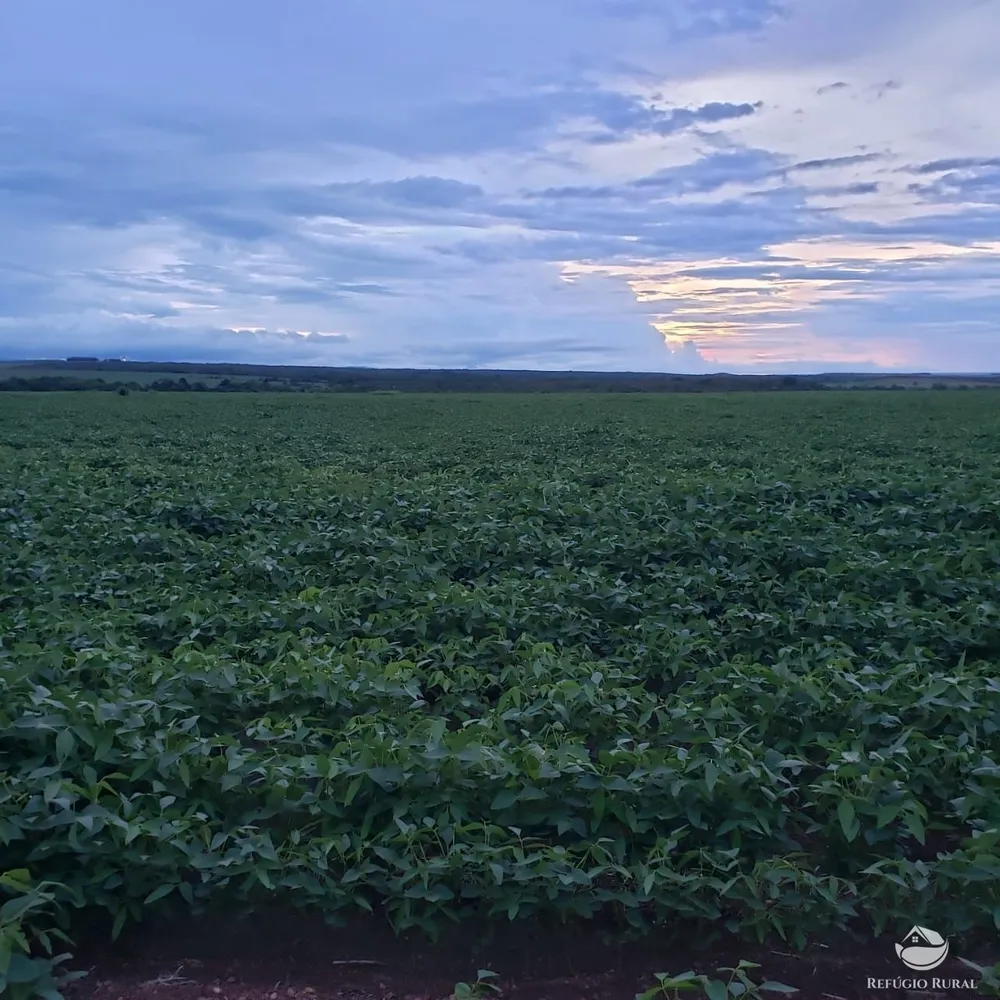 Fazenda, 3771 hectares - Foto 1