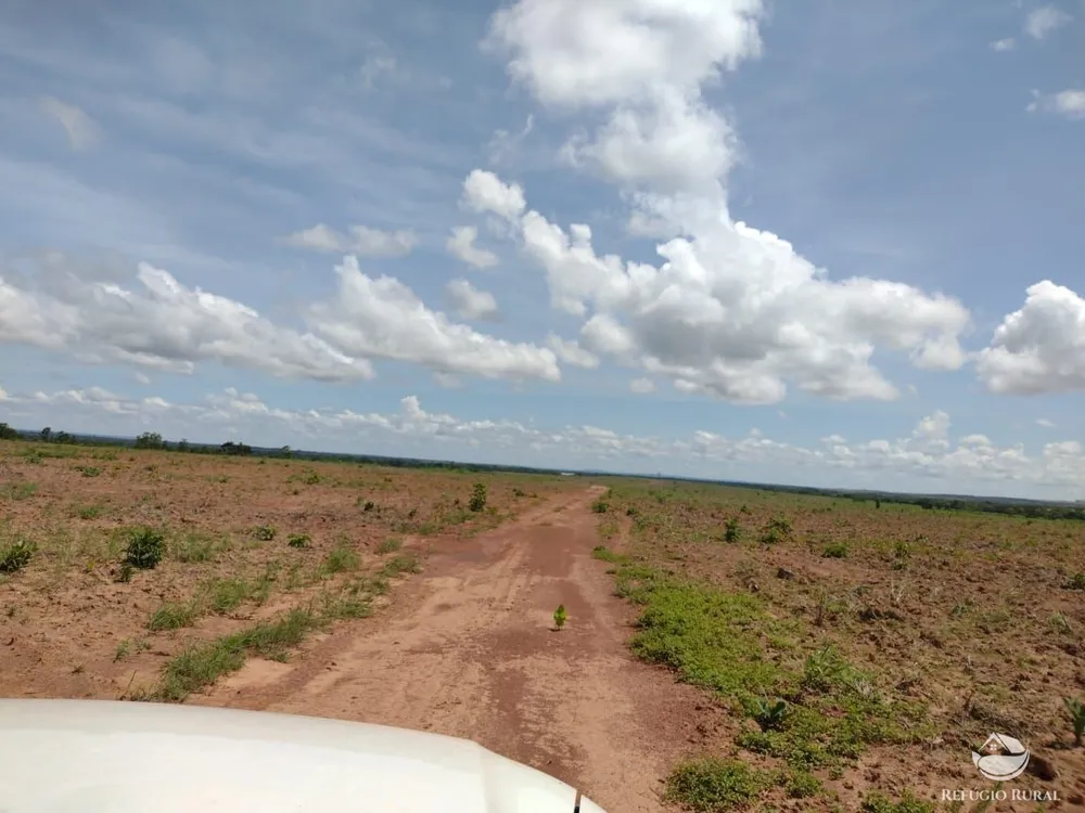 Fazenda, 3771 hectares - Foto 4