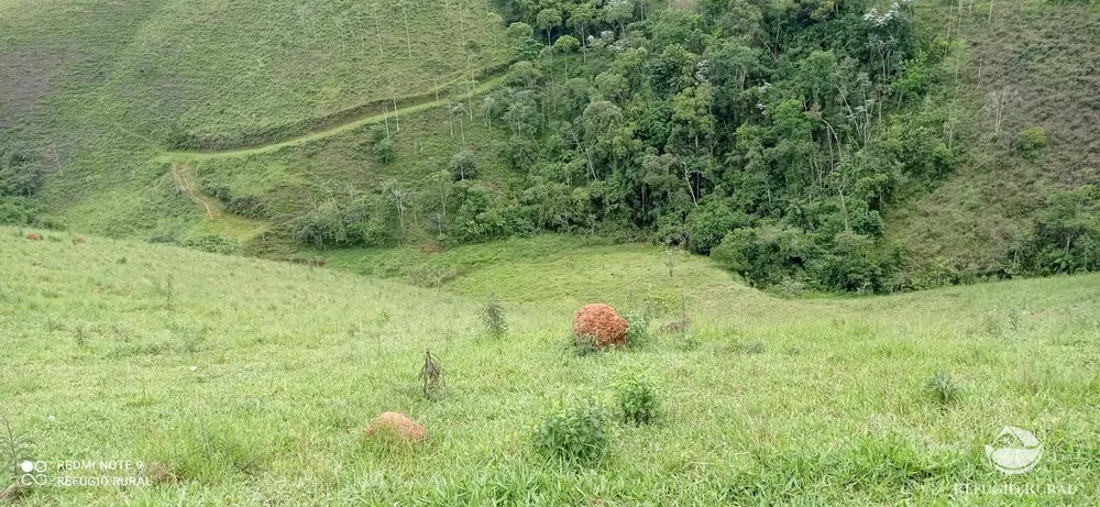 Terreno, 5 hectares - Foto 1