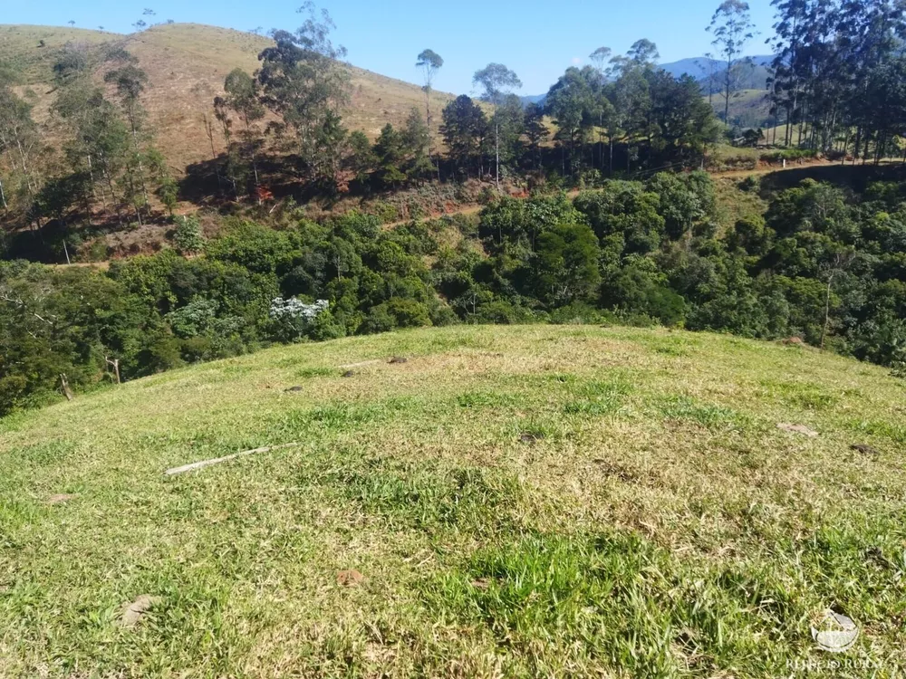 Terreno, 5 hectares - Foto 4