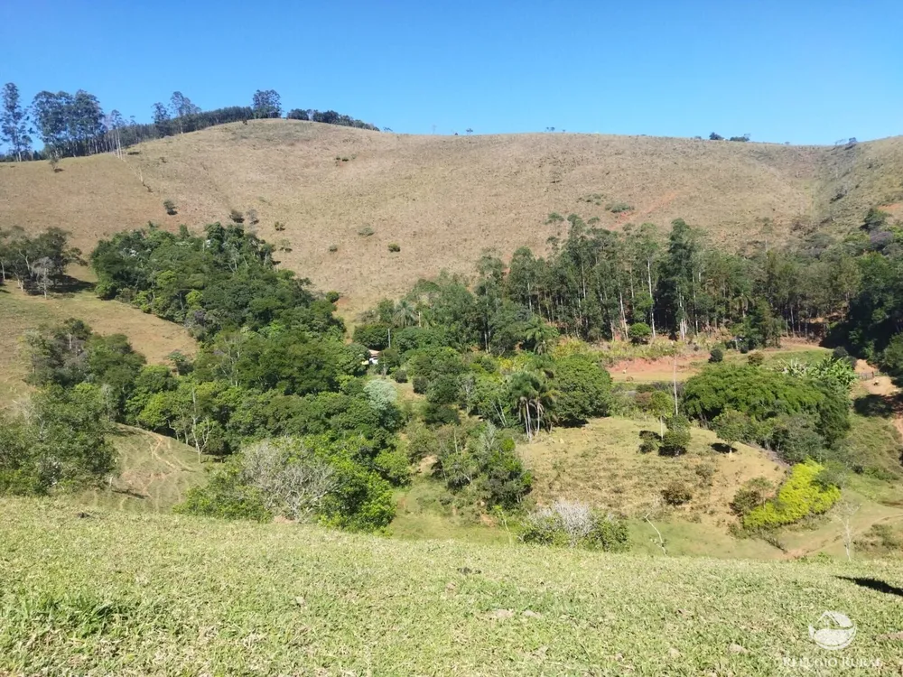 Terreno, 5 hectares - Foto 8