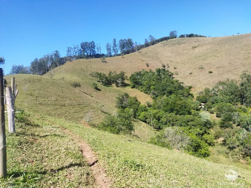 Terreno, 5 hectares - Foto 9
