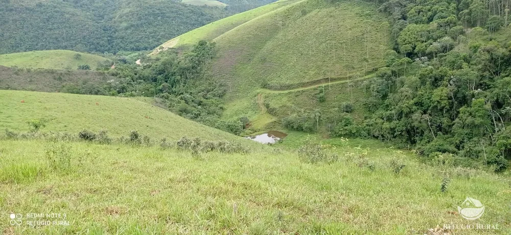 Terreno, 5 hectares - Foto 6