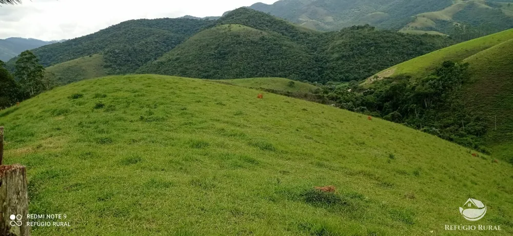 Terreno, 5 hectares - Foto 7