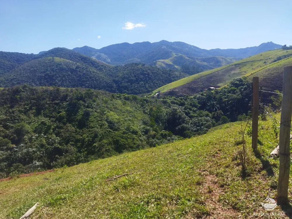 Terreno, 5 hectares - Foto 10