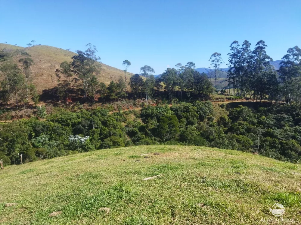 Terreno, 5 hectares - Foto 3