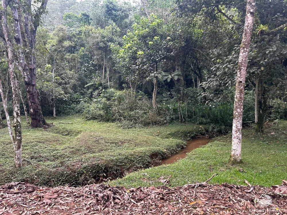 Terreno, 5 hectares - Foto 1