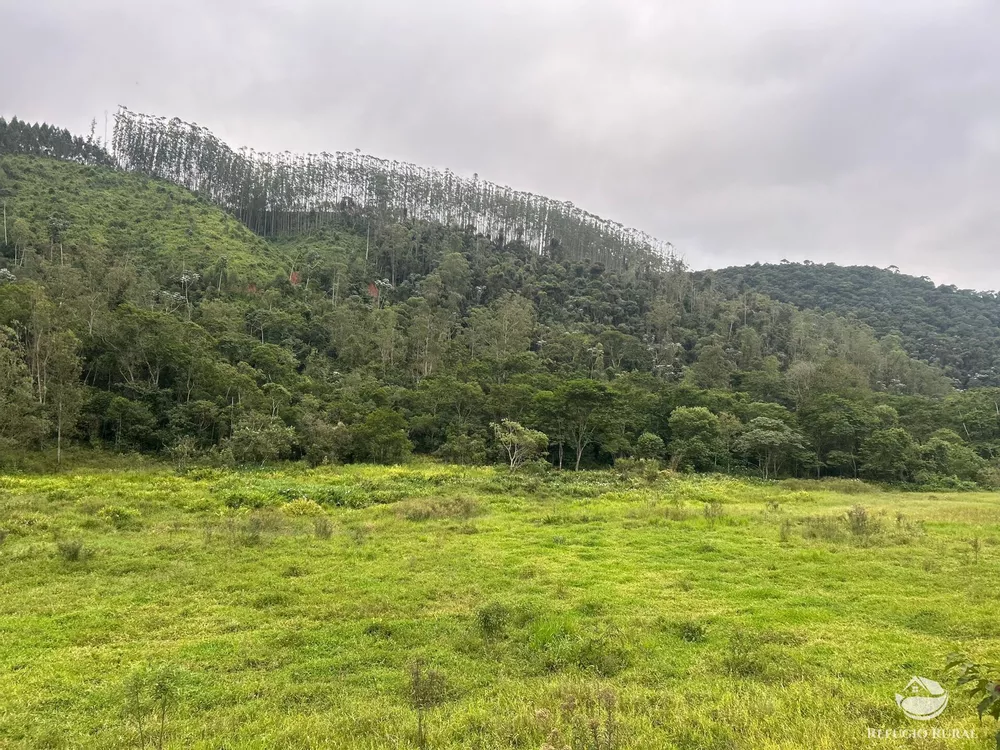 Terreno, 5 hectares - Foto 11