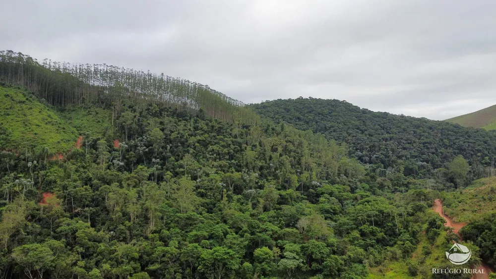 Terreno, 5 hectares - Foto 10