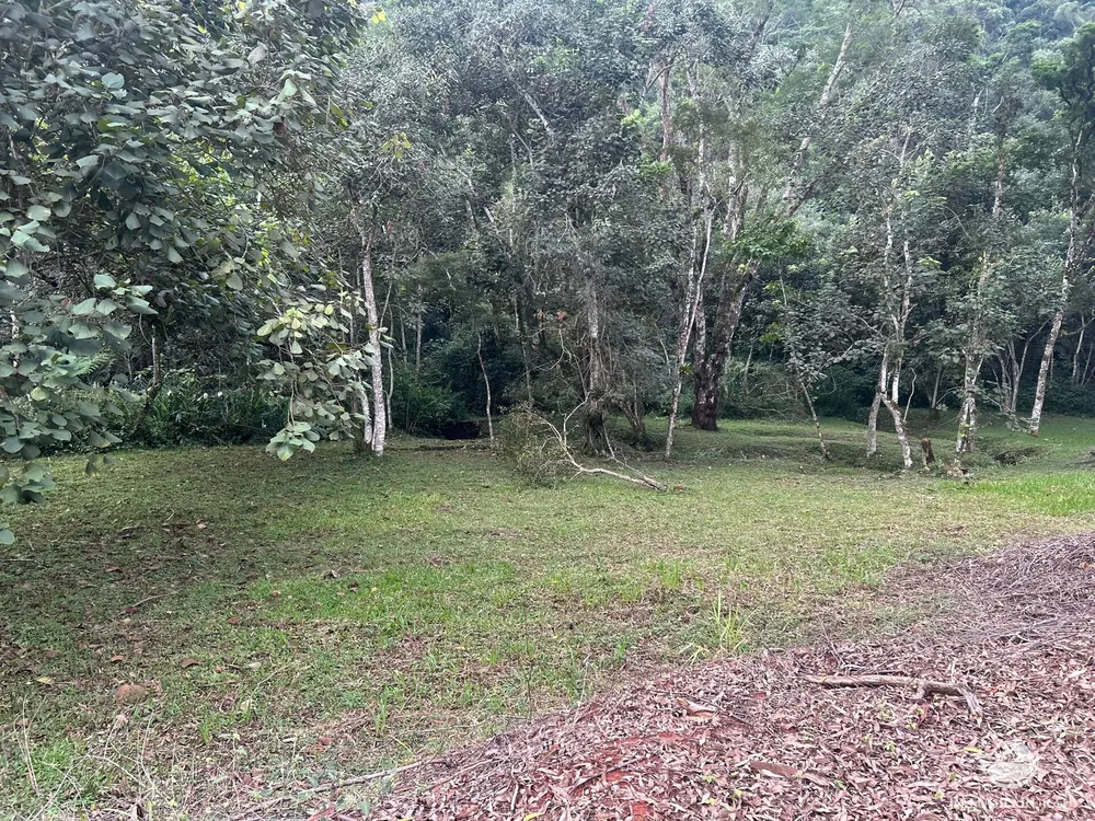 Terreno, 5 hectares - Foto 4