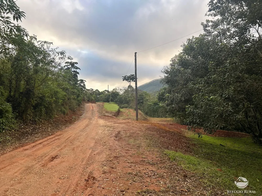 Terreno, 5 hectares - Foto 7