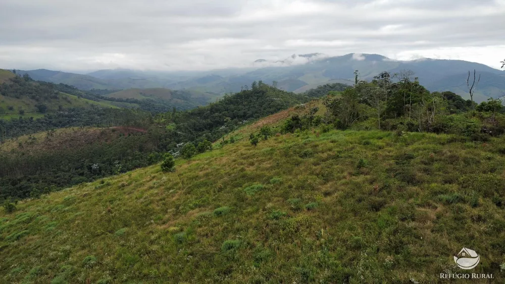 Terreno, 5 hectares - Foto 5