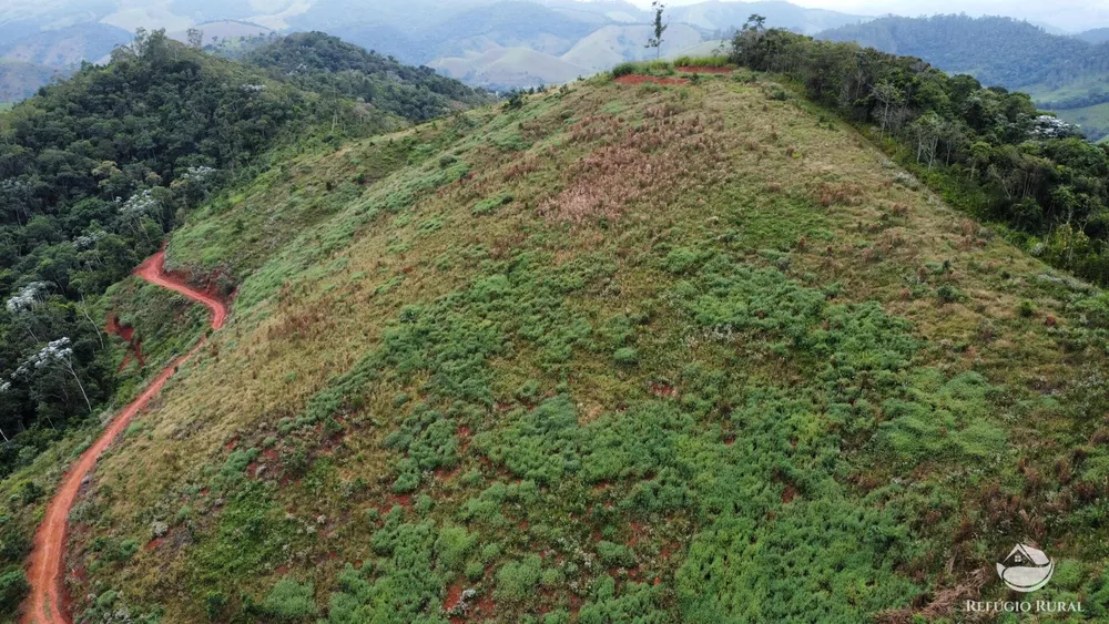 Terreno, 5 hectares - Foto 4