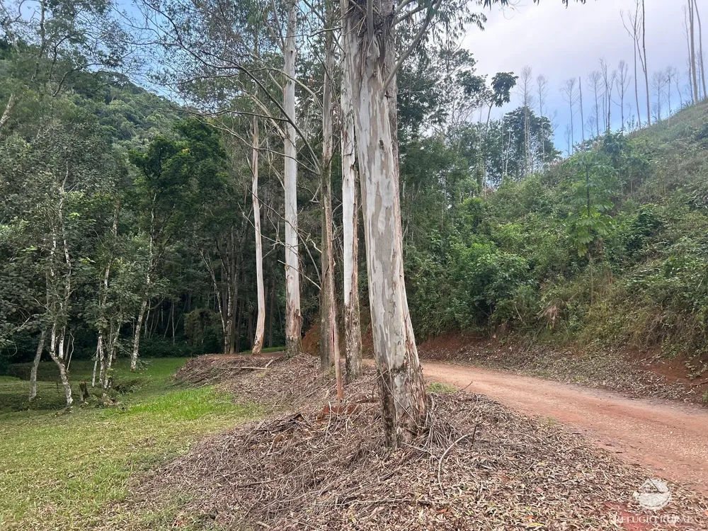 Terreno, 5 hectares - Foto 3