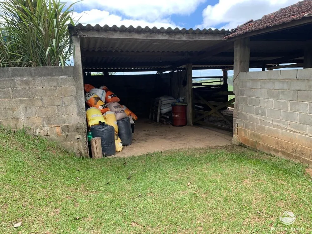 Fazenda, 22 hectares - Foto 7