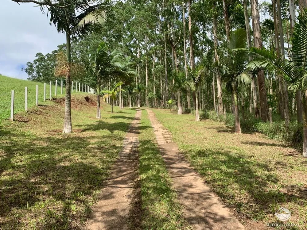 Fazenda, 22 hectares - Foto 2