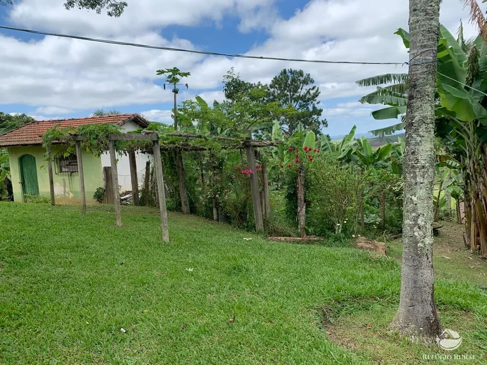 Fazenda, 22 hectares - Foto 8