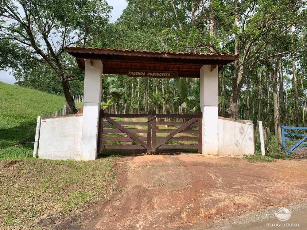 Fazenda, 22 hectares - Foto 3