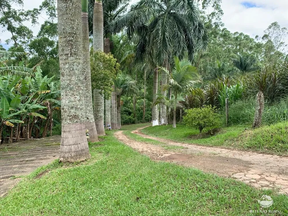 Fazenda, 22 hectares - Foto 7