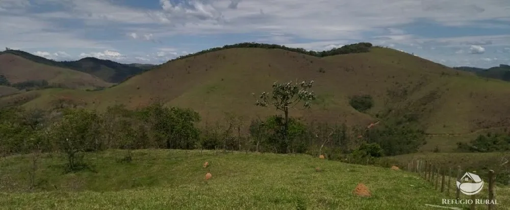 Terreno, 2 hectares - Foto 3