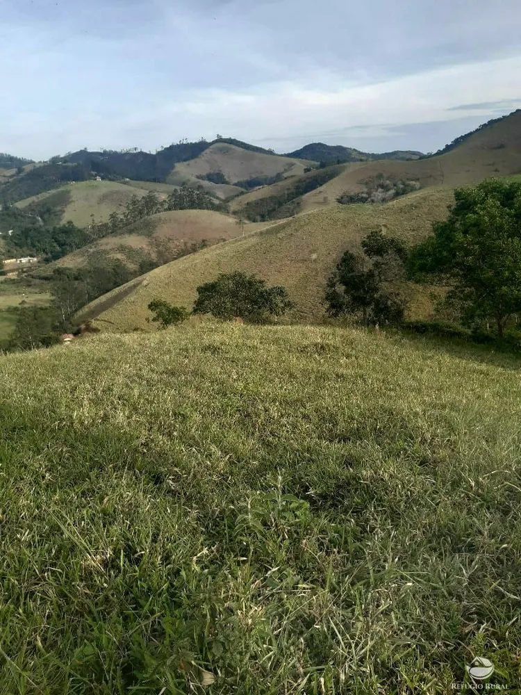 Terreno, 2 hectares - Foto 8