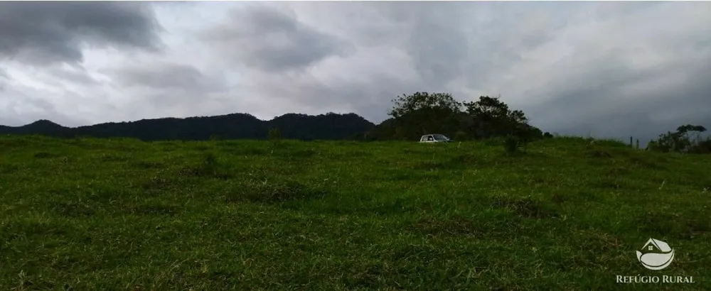 Terreno, 2 hectares - Foto 6