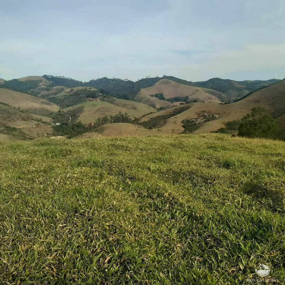 Terreno, 2 hectares - Foto 10