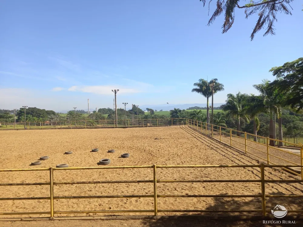 Chácara, 1 quarto, 10 hectares - Foto 7