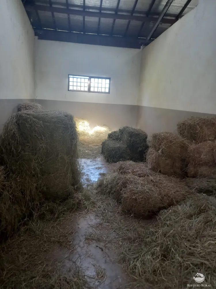 Chácara, 1 quarto, 10 hectares - Foto 10