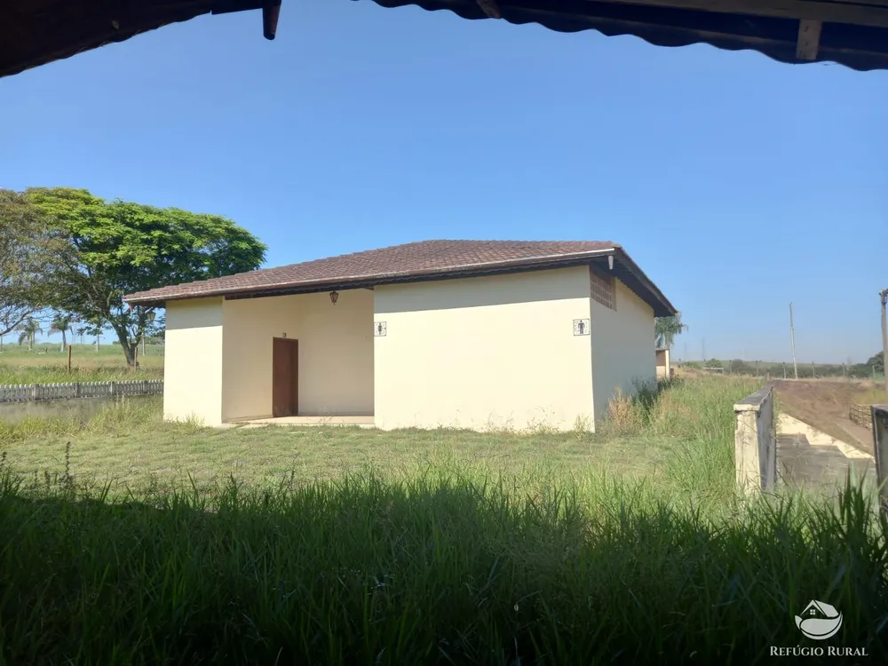 Chácara, 1 quarto, 10 hectares - Foto 6